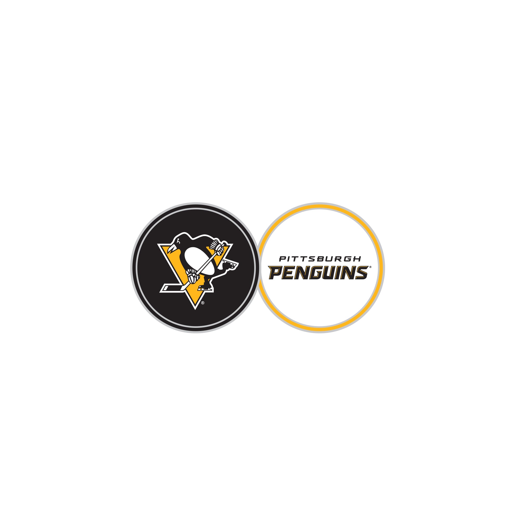 PITTSBURGH PENGUINS DOUBLE SIDED BA