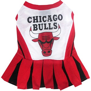 CHICAGO BULLS CHEERLEADER