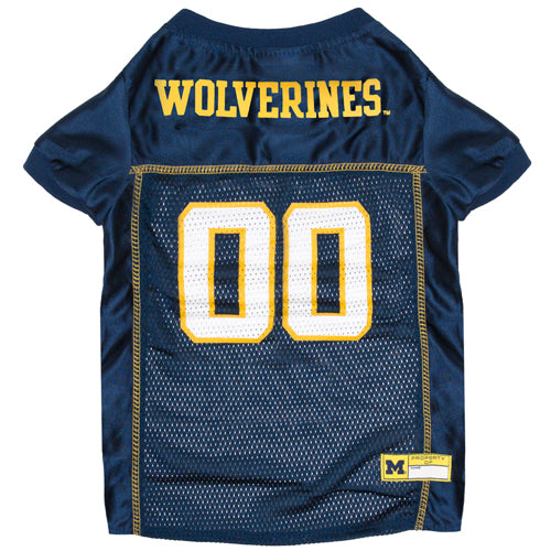 MICHIGAN MESH JERSEY