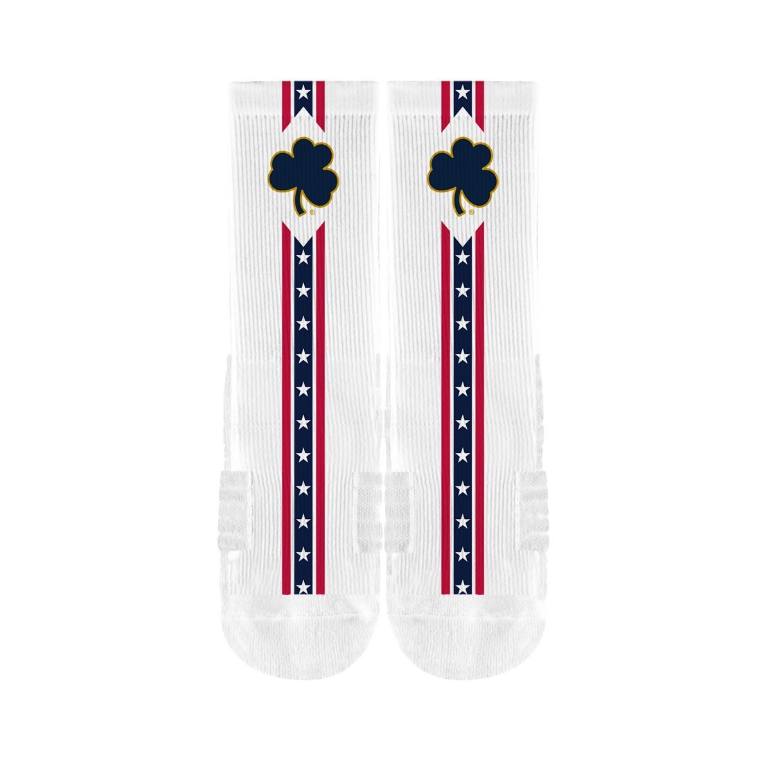 Notre Dame Flag Premium