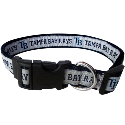 TAMPA BAY RAYS COLLAR